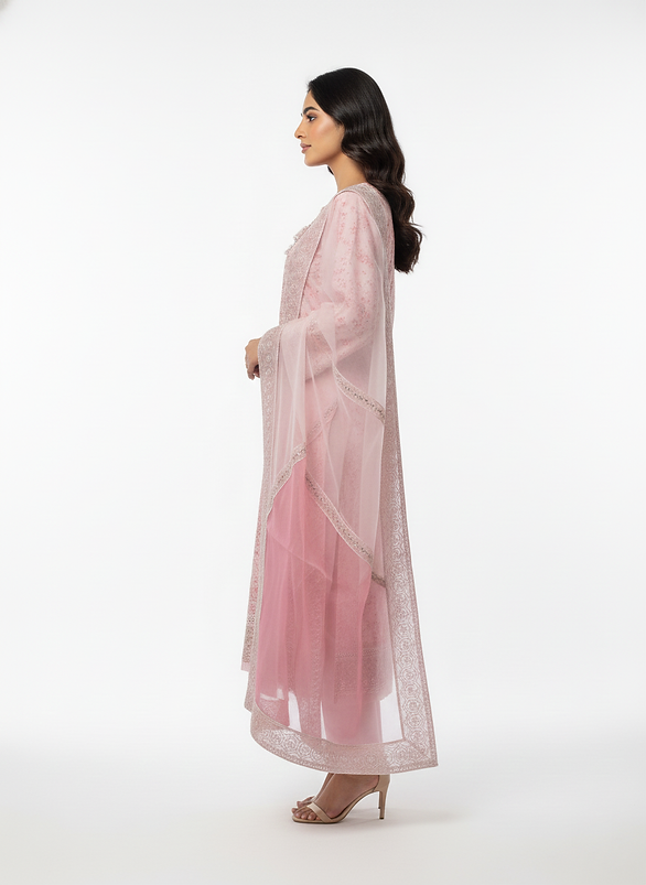 Rose Quartz Embroidered Organza Salwar Suit Set