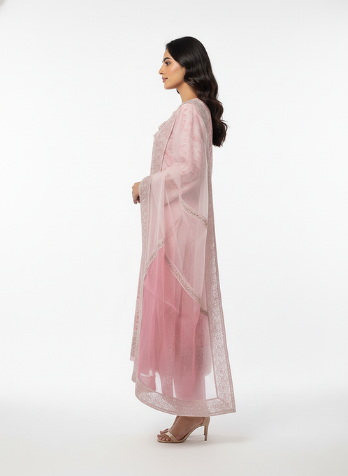 Rose Quartz Embroidered Organza Salwar Suit Set